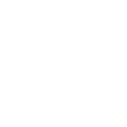 Fc Icon Special