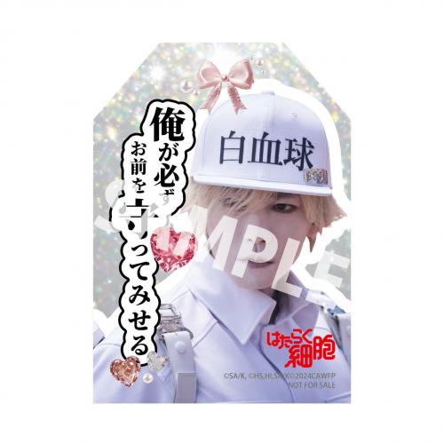 はたらく細胞 【BOX付き完全生産限定版】DVD-BOX | Co-LaVo Official Shop