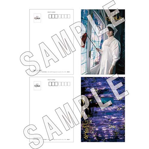 Co-LaVo Shop特典付】豪華版DVD「ホリック xxxHOLiC」 | Co-LaVo