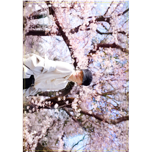 TAKERU SATOH 2027 CALENDAR 「たけるさんぽ」