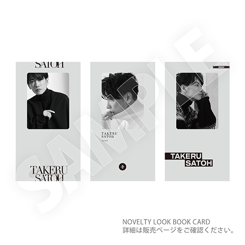 佐藤健 2024カレンダー「TAKERU SATOH 2024 CALENDAR」