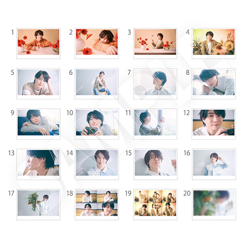 神木隆之介 2024-2025 選べるカレンダー | Co-LaVo Official Shop